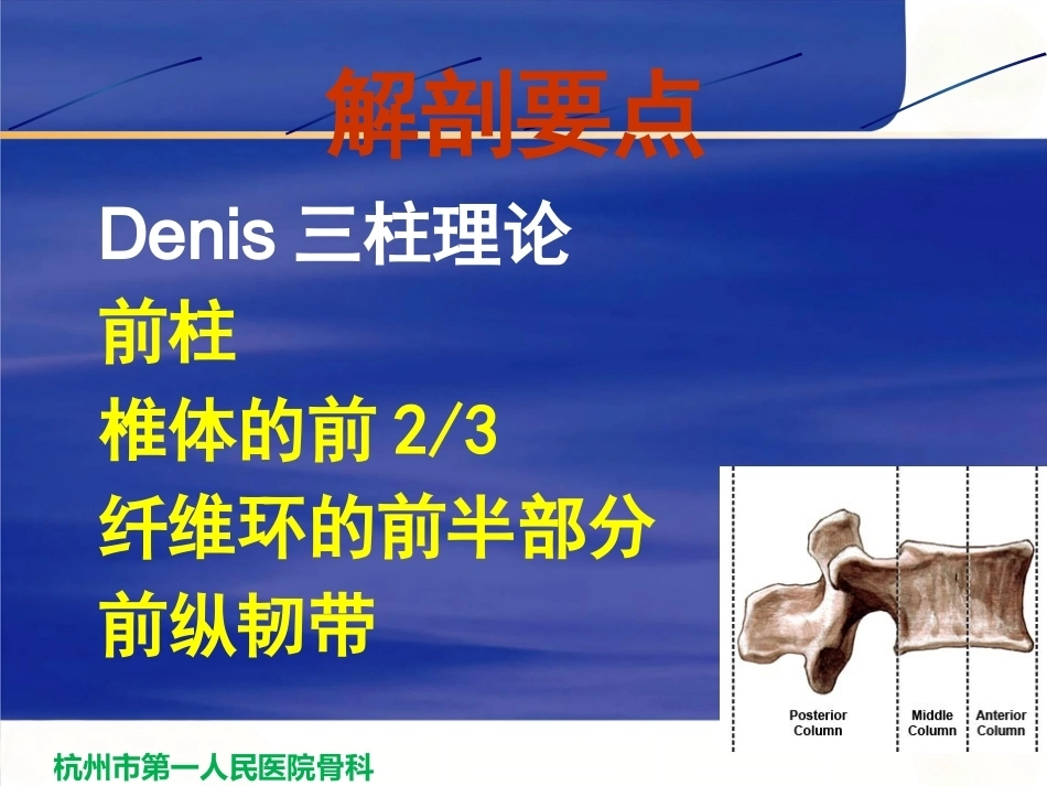 胸腰段脊柱骨折内固 定范围的选择_第3页