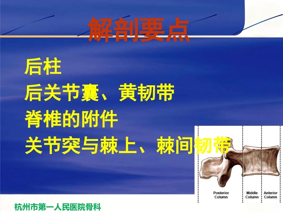 胸腰段脊柱骨折内固 定范围的选择_第5页
