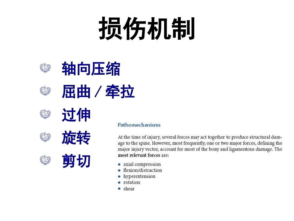 胸腰段脊柱骨折内固 定范围的选择_第6页