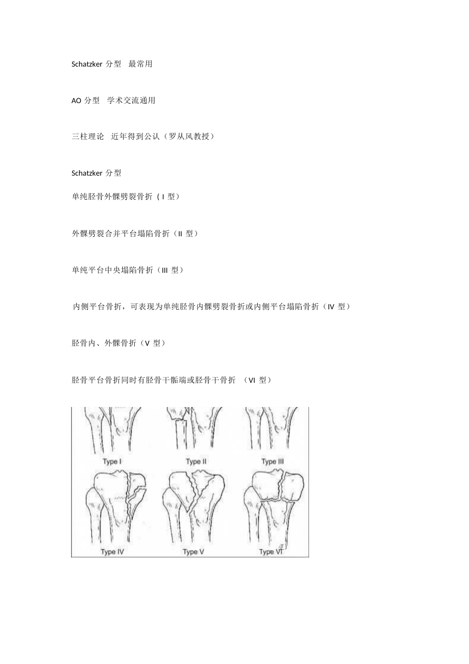 胫骨平台骨折的分型_第2页