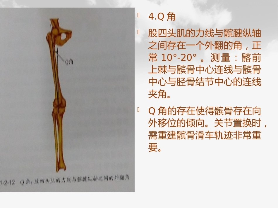 全膝膝关节 置换基本理论_第14页