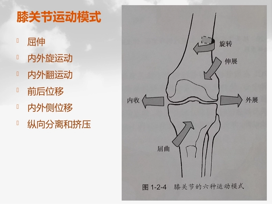 全膝膝关节 置换基本理论_第5页