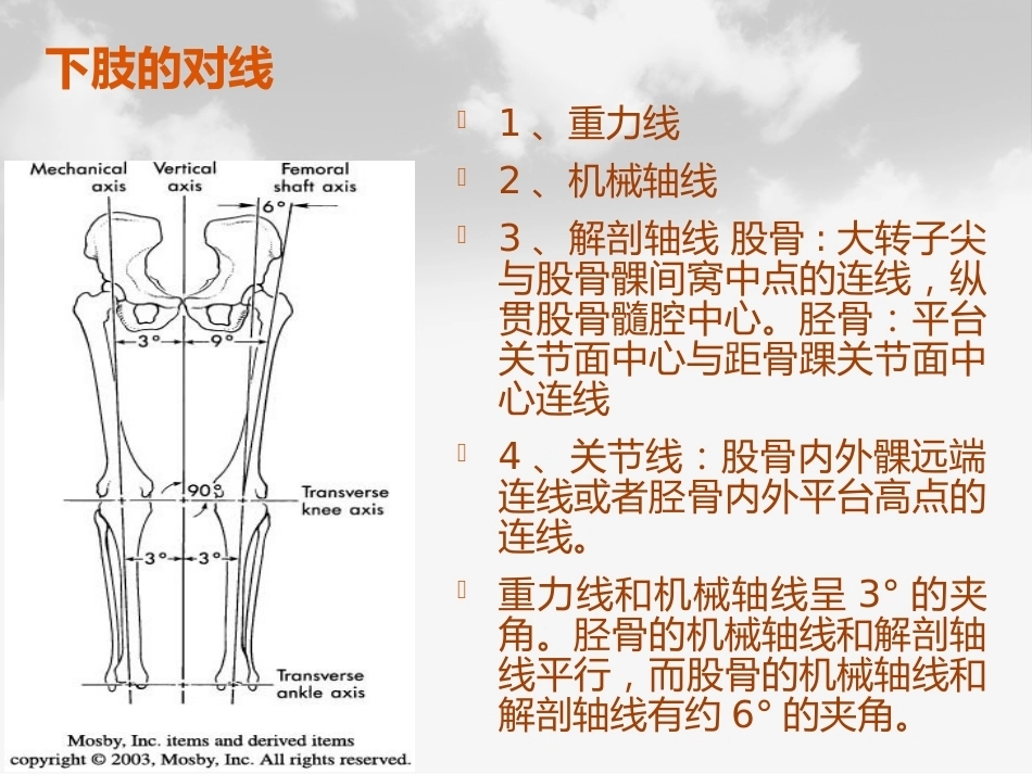 全膝膝关节 置换基本理论_第9页