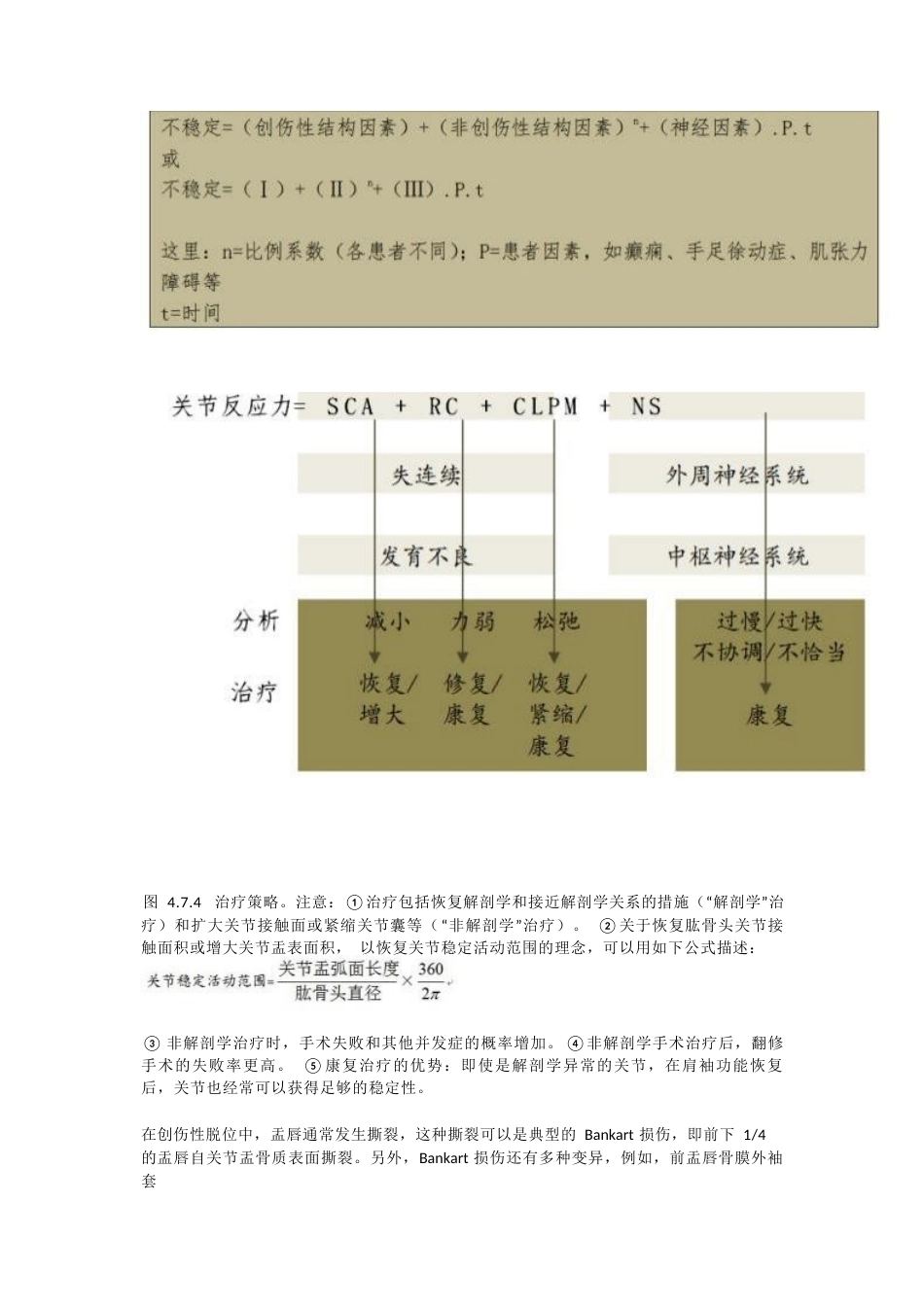 肩关节不稳定的分型_第12页