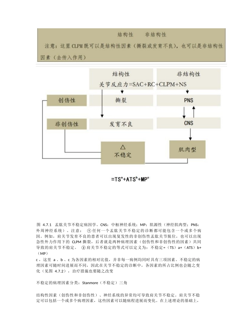 肩关节不稳定的分型_第3页