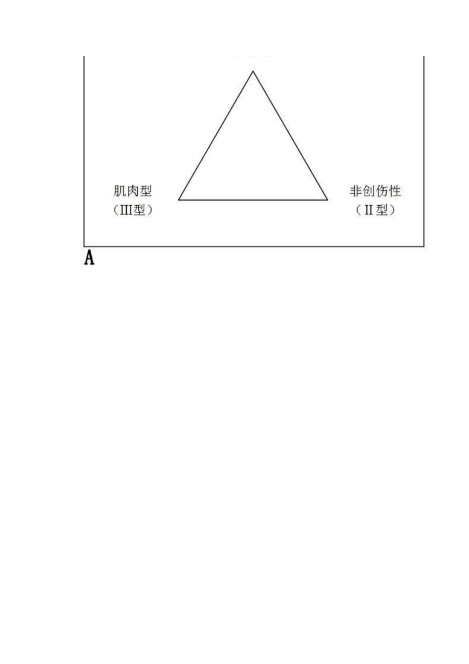 肩关节不稳定的分型_第6页