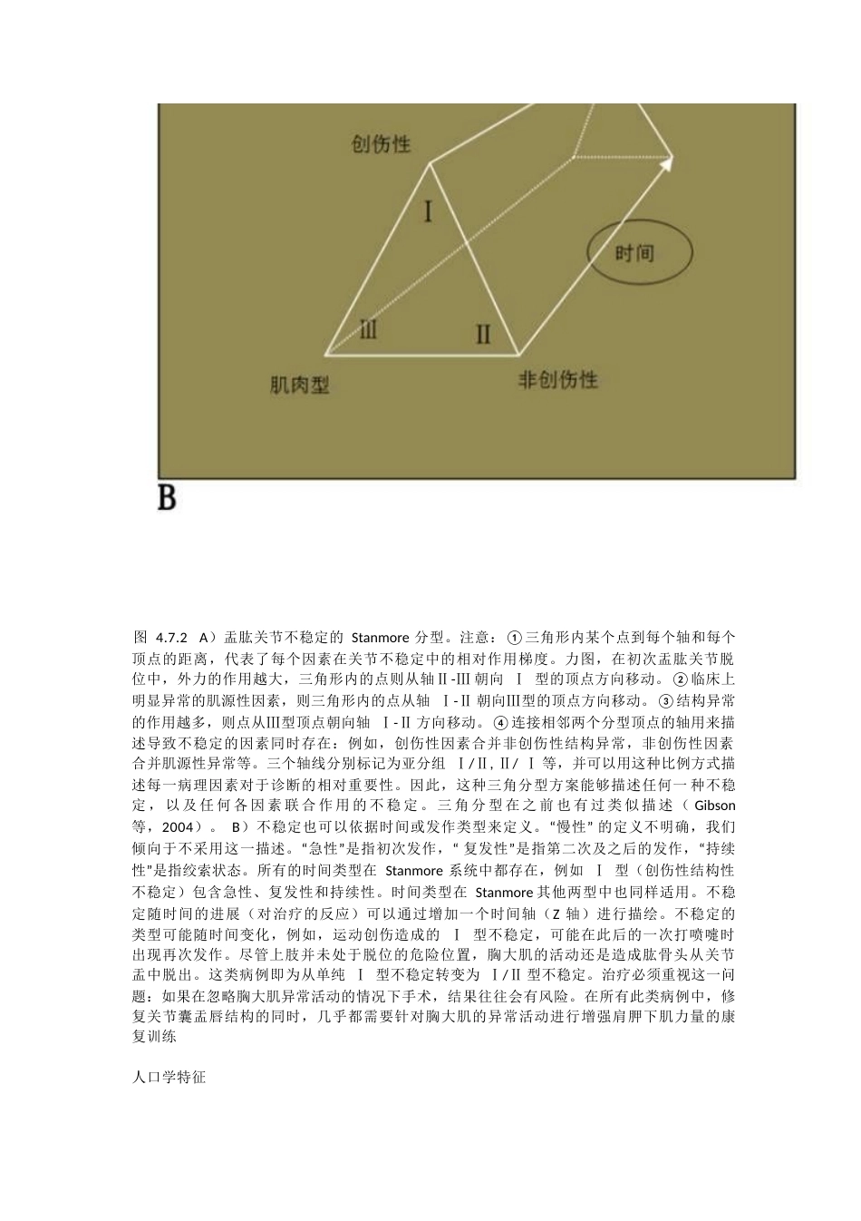 肩关节不稳定的分型_第7页