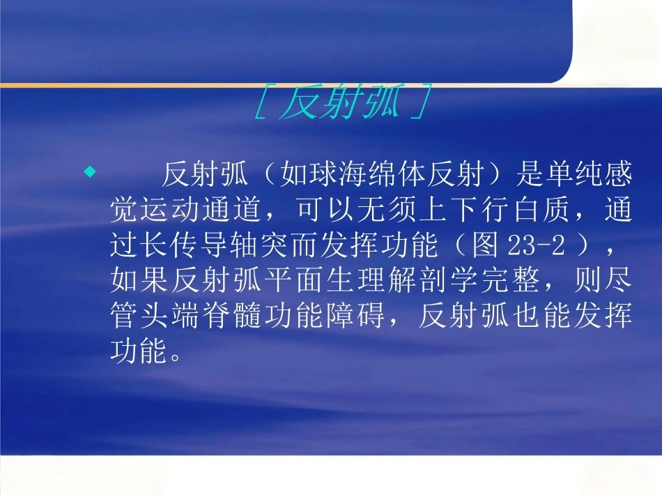胸腰椎骨折的诊 断和 治疗_第14页