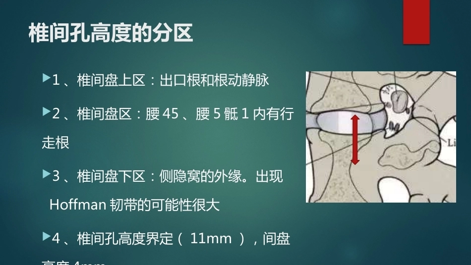 椎间孔的解剖 (1)_第5页