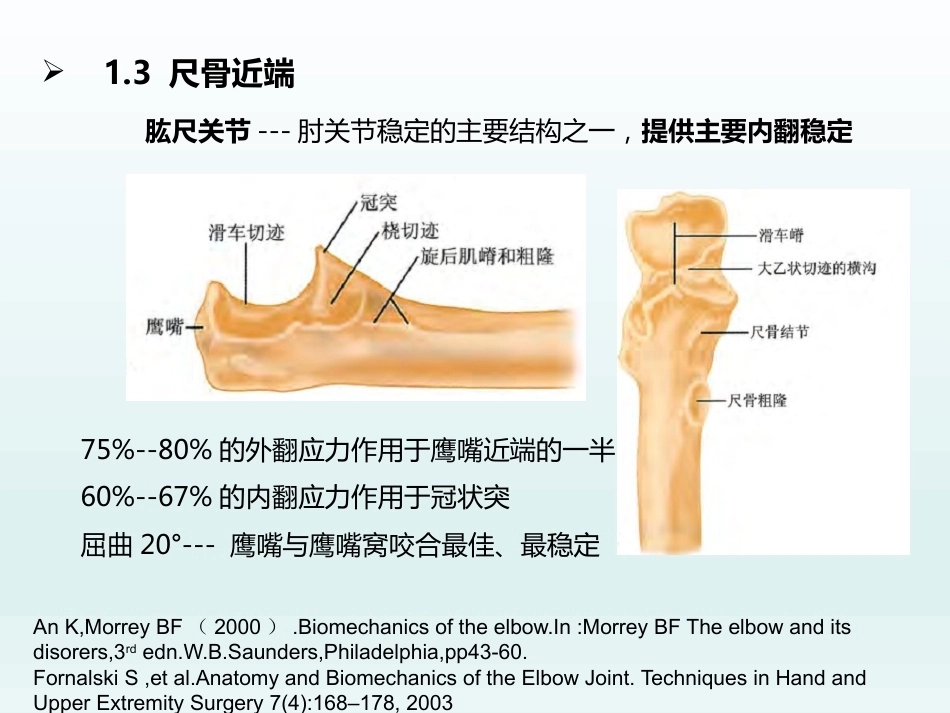 肘关节应用解剖及生物力学(1)_第10页