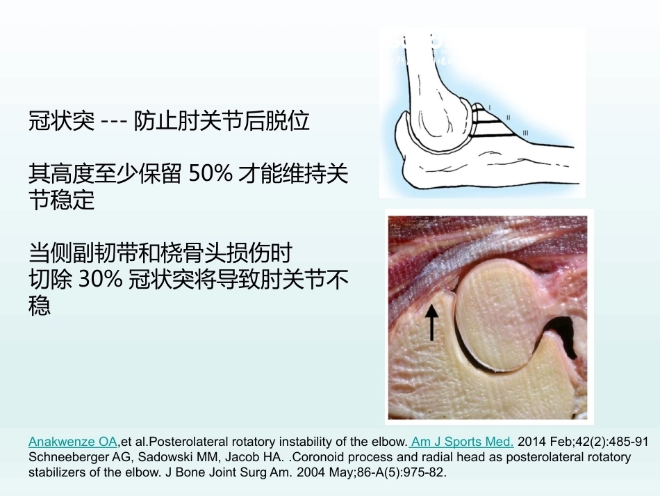 肘关节应用解剖及生物力学(1)_第11页