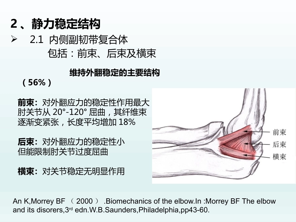 肘关节应用解剖及生物力学(1)_第12页