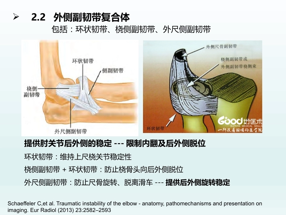 肘关节应用解剖及生物力学(1)_第13页