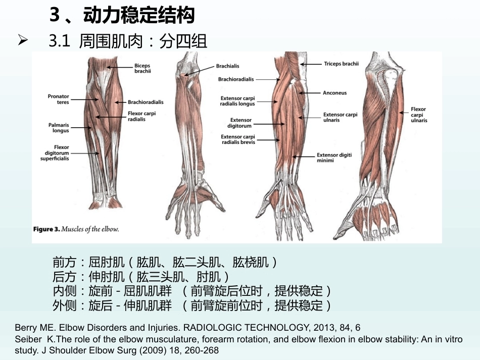 肘关节应用解剖及生物力学(1)_第15页