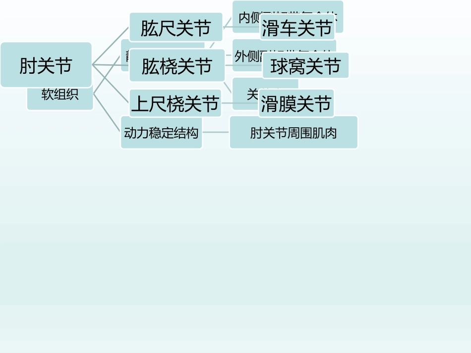 肘关节应用解剖及生物力学(1)_第2页