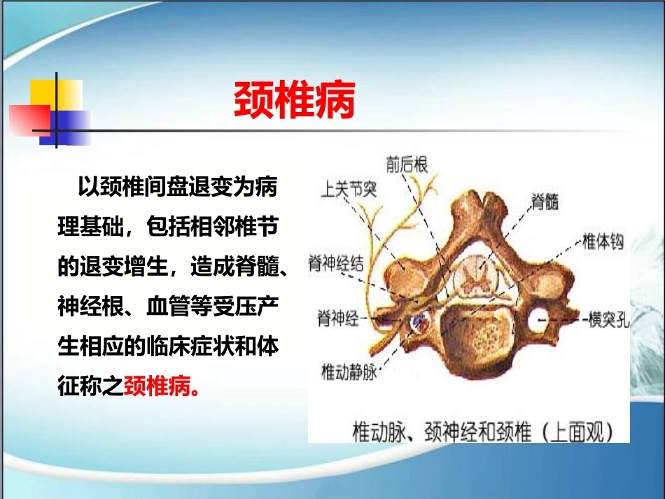 颈椎病的诊断与治疗(2)_第10页