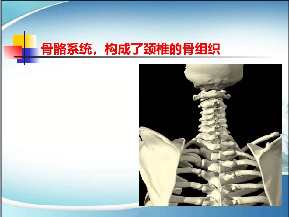 颈椎病的诊断与治疗(2)_第7页