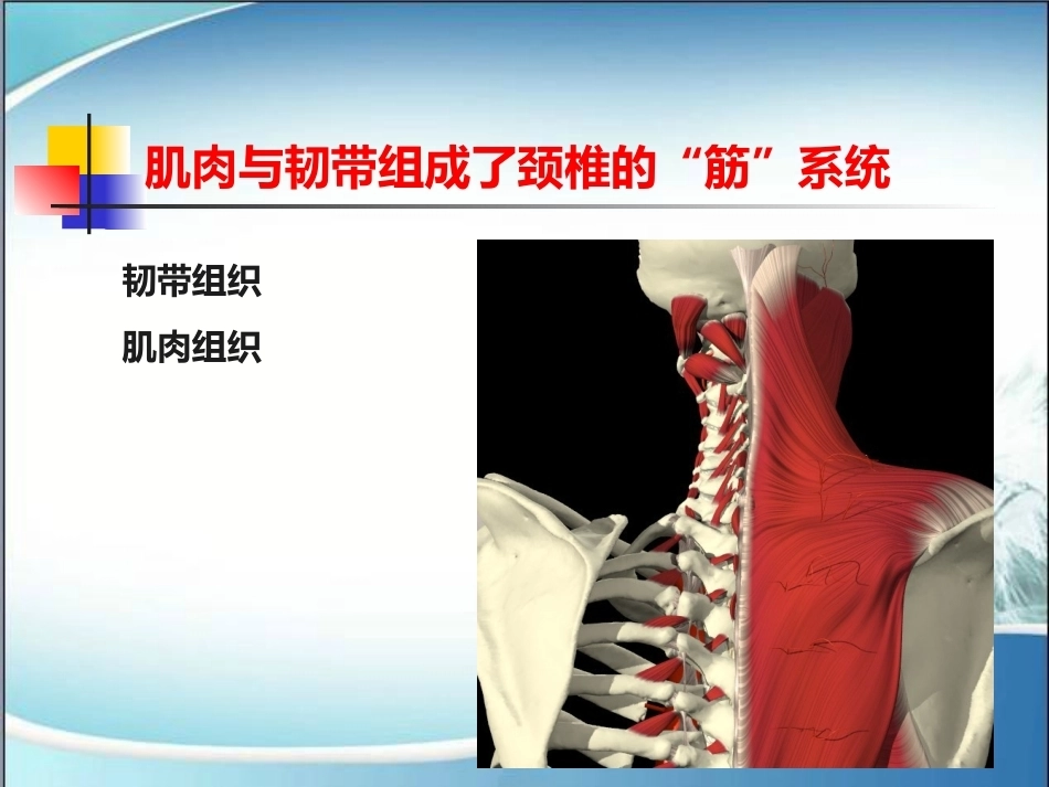 颈椎病的诊断与治疗(2)_第8页