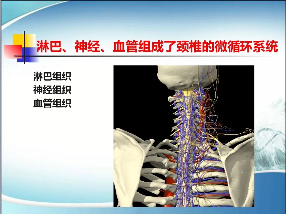 颈椎病的诊断与治疗(2)_第9页