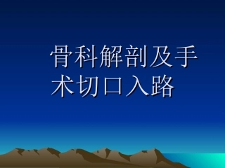 骨科解剖及手术切口入路(2)