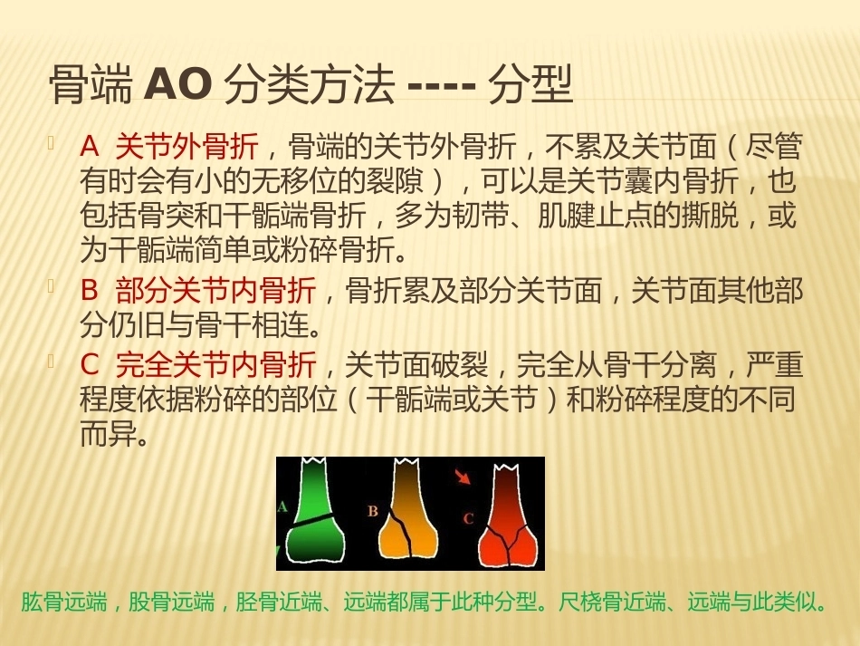 2.骨折AO分型_第12页