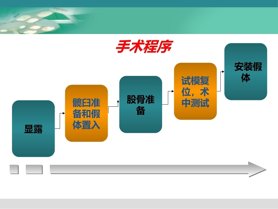 人工髋关节置换术2_第10页