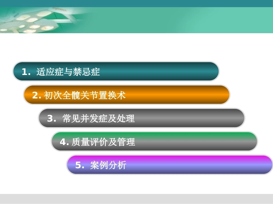 人工髋关节置换术2_第2页