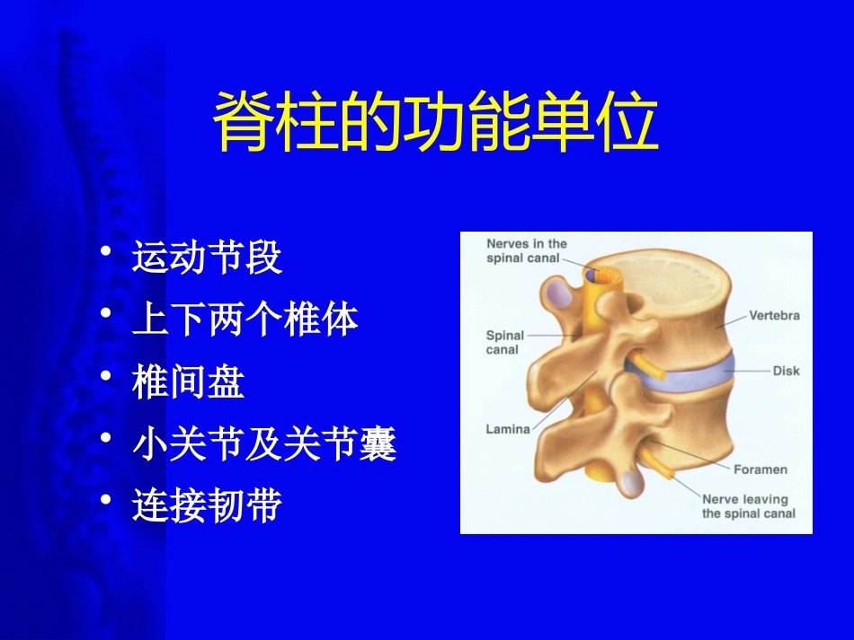 颈椎病的诊断与治疗原则(2)_第3页