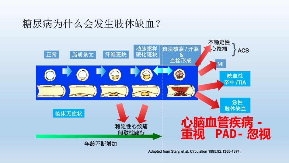 浅说胫骨横向骨搬移技术(2)_第4页