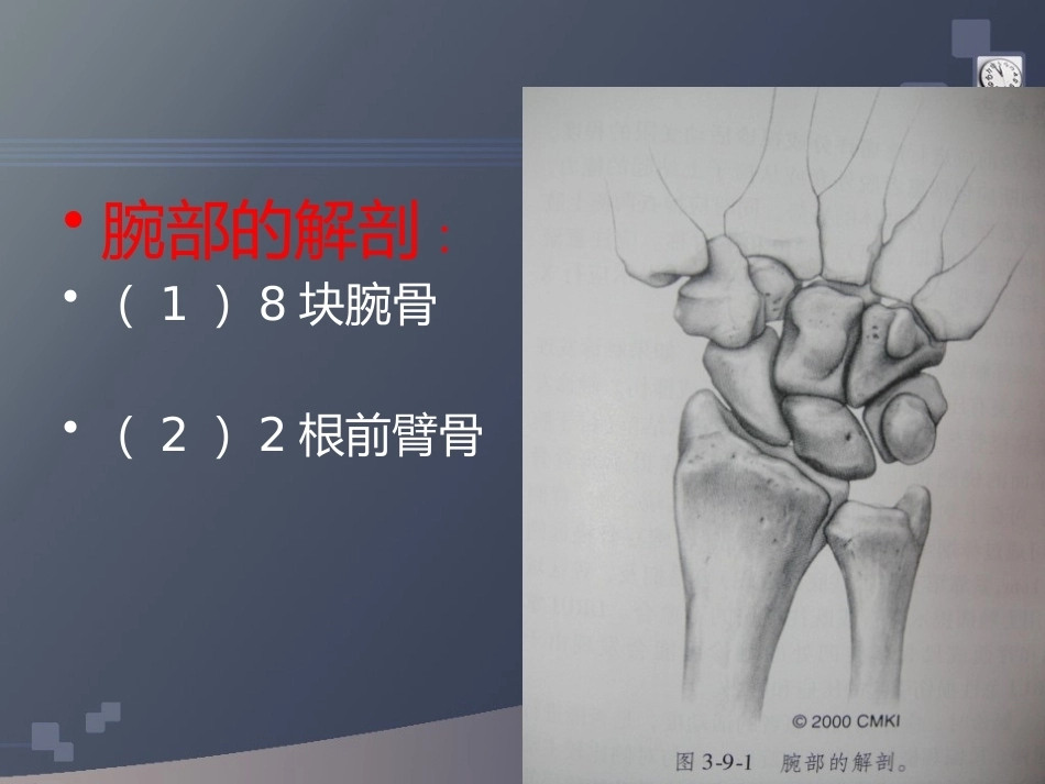 桡骨远端骨折(2)_第3页