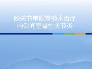 膝关节单髁置换（3）