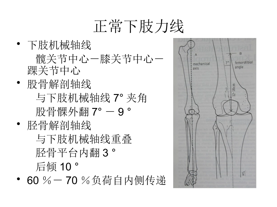 全膝关节置换术力线(3)_第6页