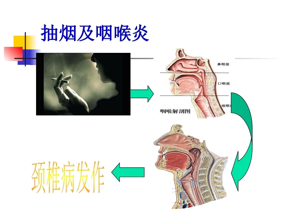 颈椎病的诊断与治疗(3)_第15页