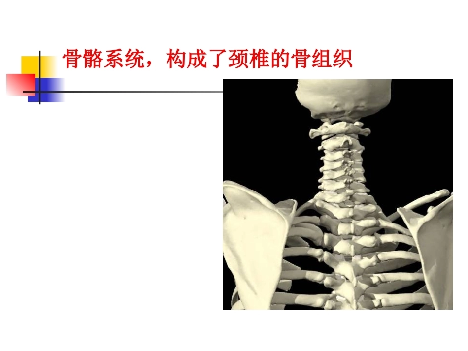 颈椎病的诊断与治疗(3)_第7页