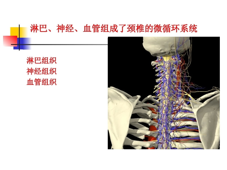 颈椎病的诊断与治疗(3)_第9页
