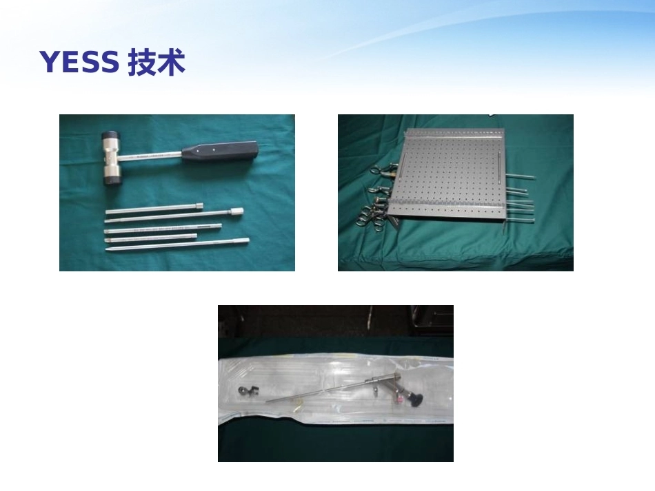 3椎间孔镜技术_第12页
