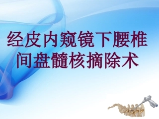 3椎间孔镜技术