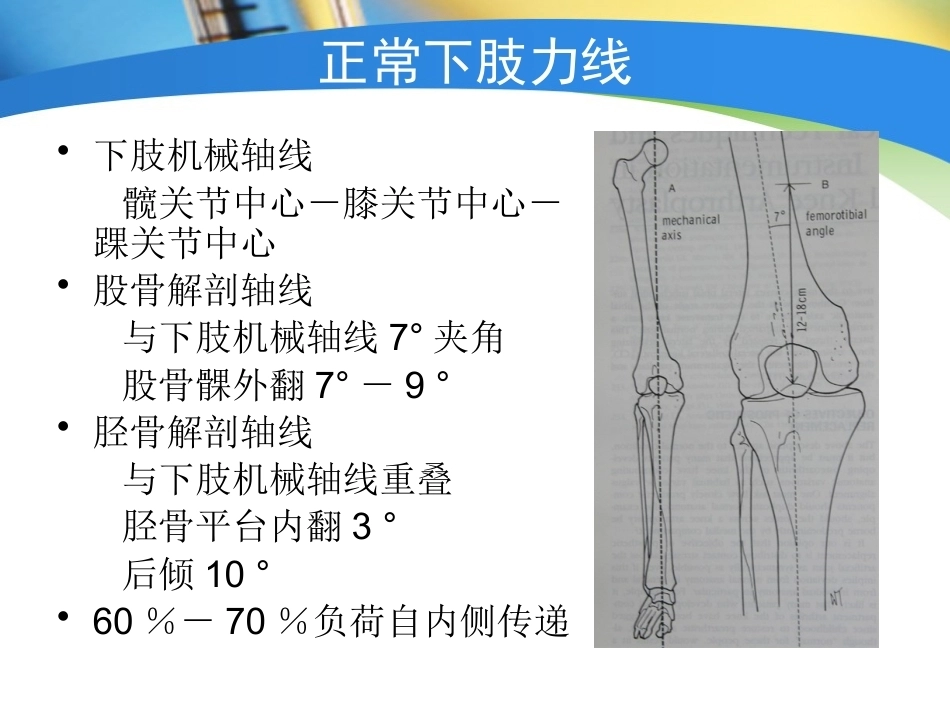 全膝关节置换术力线(4)_第6页
