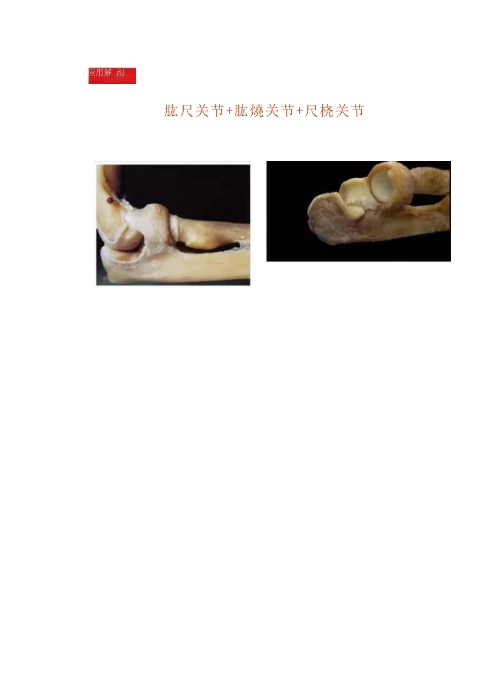 4.肘关节手术入路_第2页