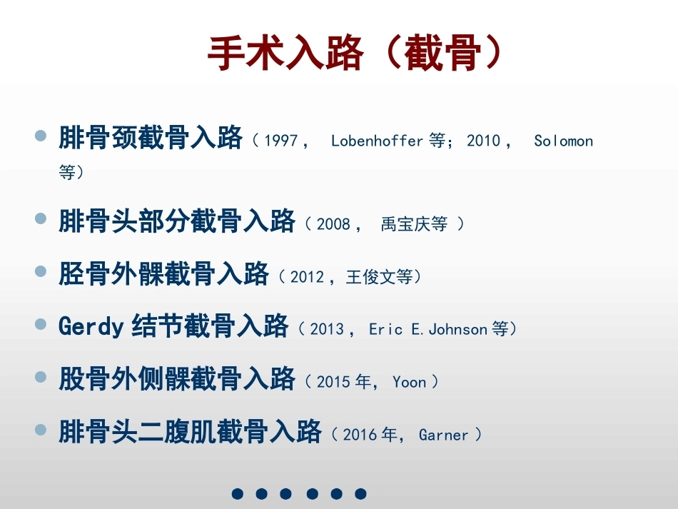 平台后外侧4种入路解剖观察_第4页