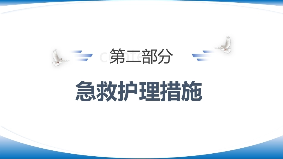 主动脉夹层破裂的急救护理_第12页