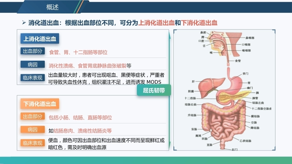 消化道大出血急救与护理_第4页