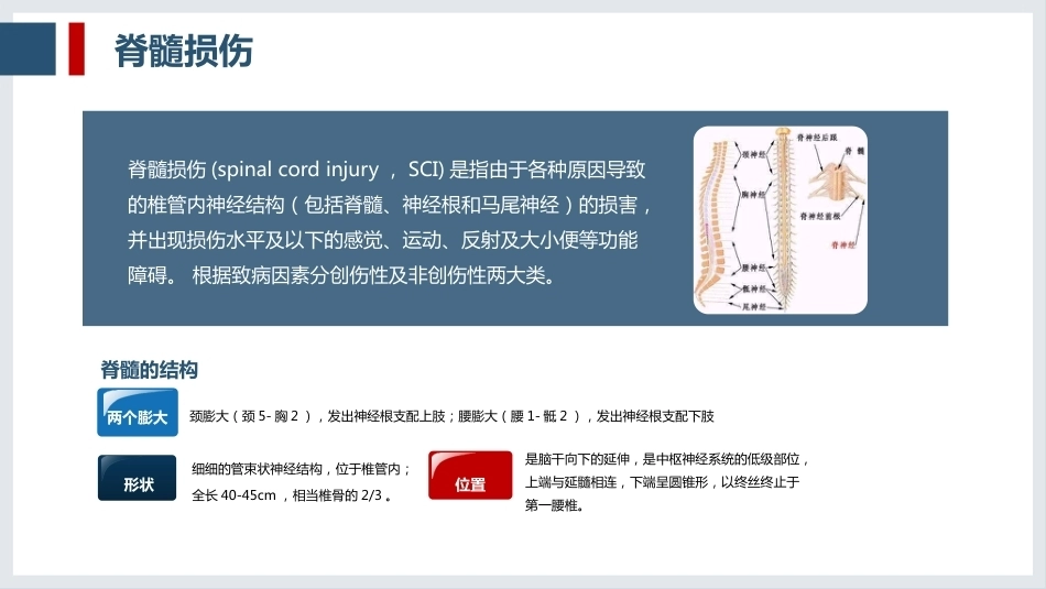 一例脊髓损伤患者的护理查房_第4页
