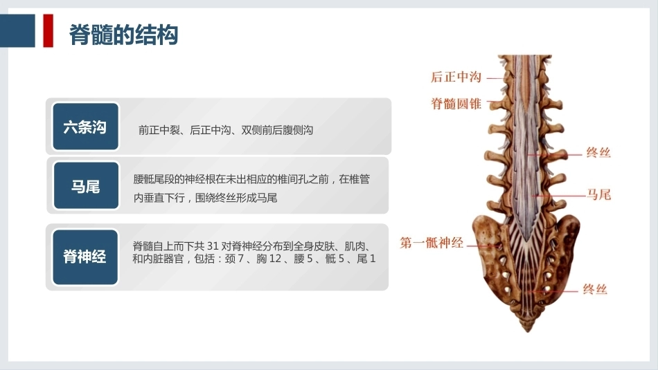 一例脊髓损伤患者的护理查房_第5页