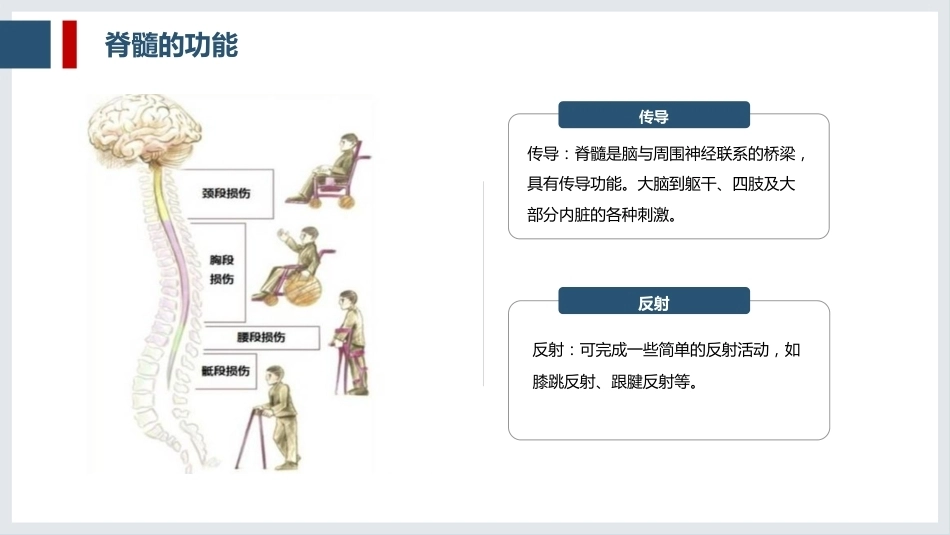 一例脊髓损伤患者的护理查房_第7页