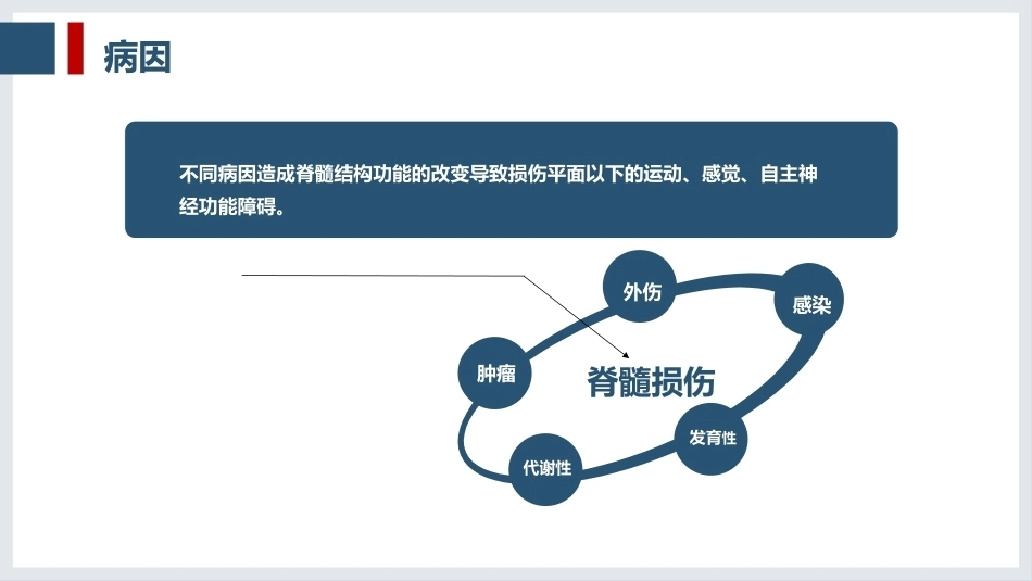 一例脊髓损伤患者的护理查房_第8页