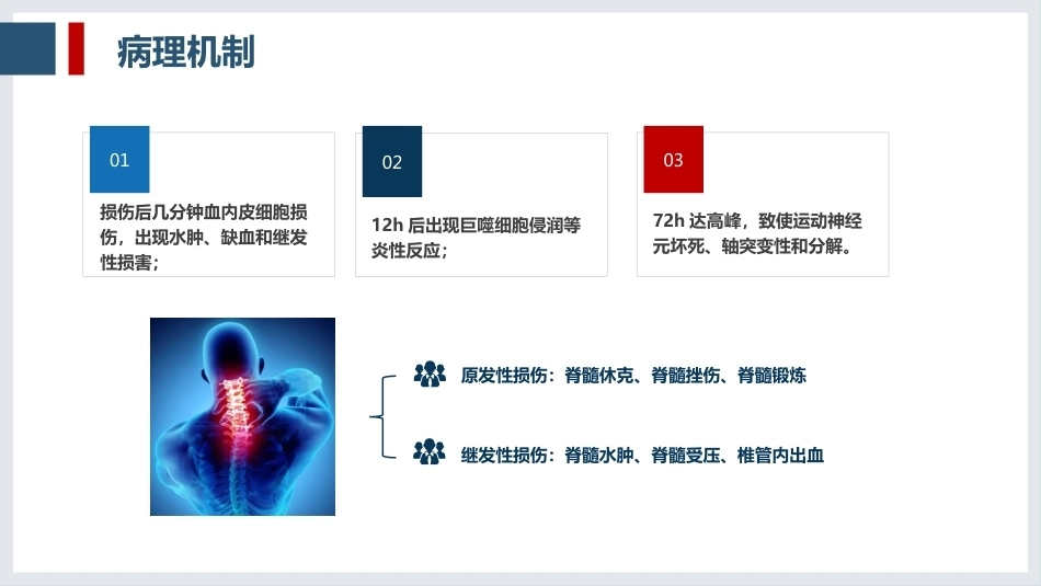 一例脊髓损伤患者的护理查房_第9页