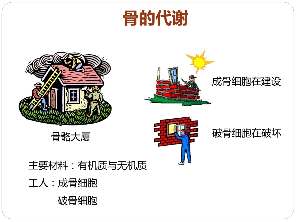 认识骨质疏松(最终版)_第10页