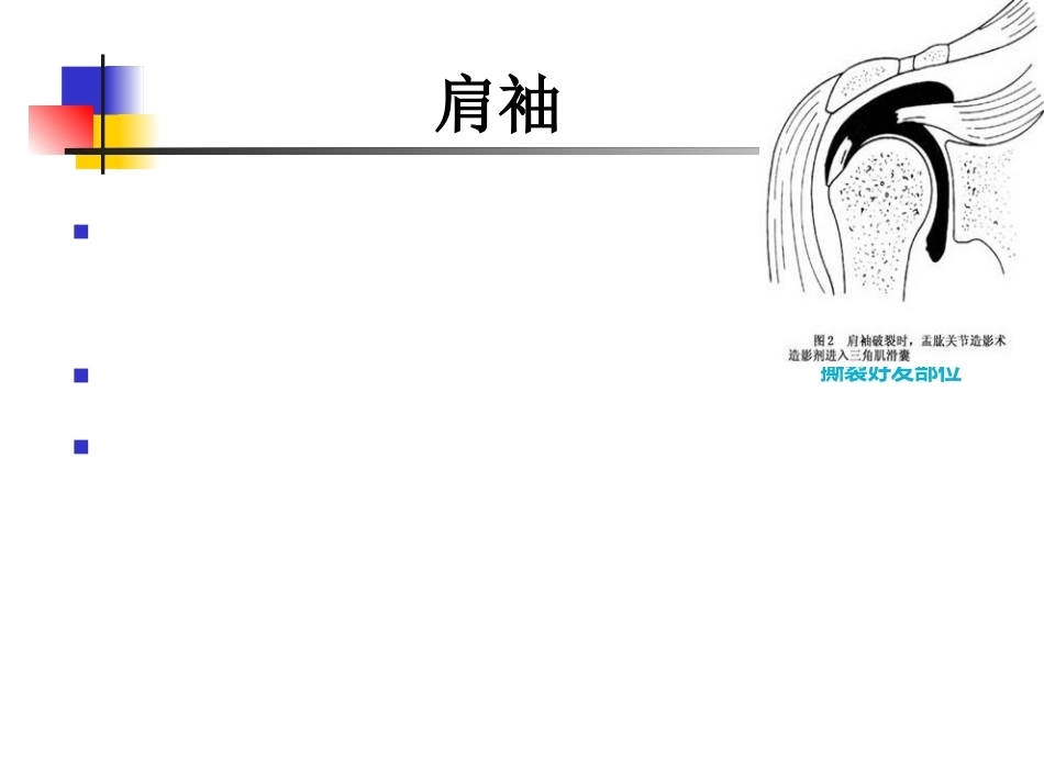肩关节病变MRI解剖和诊断课件_第15页