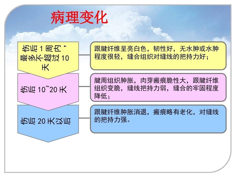 跟腱断裂的诊断与治疗(2)_第11页